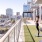 Large outdoor yoga lawn 