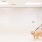 Spacious well lit dog wash with all white tile and multiple bays 