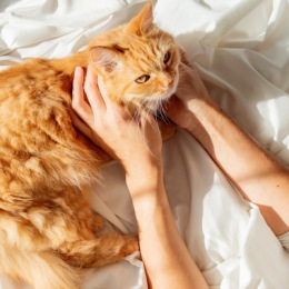 Instagram post from @1200broadwayapts on July 12, 2024 16:08:06pm